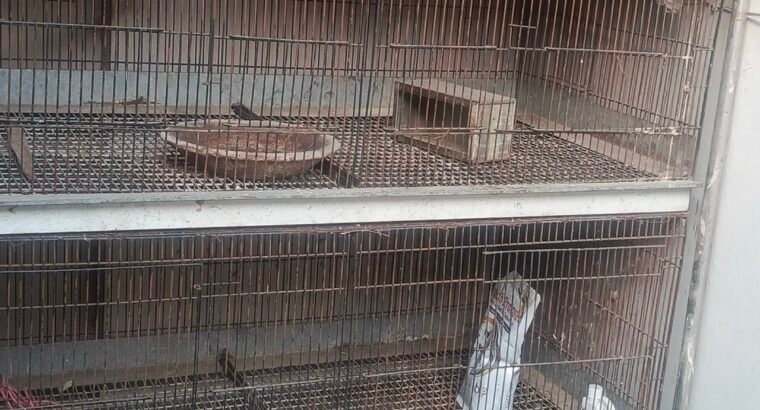 large iron Bird, rabbit cage for sale