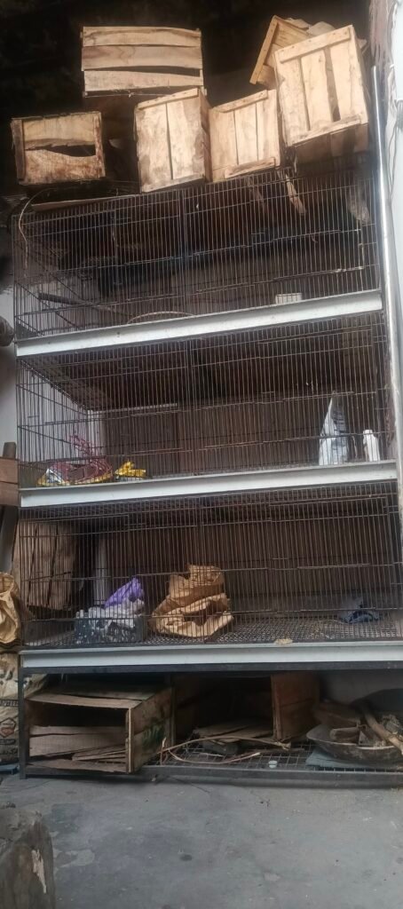 large iron Bird, rabbit cage for sale - photo 2