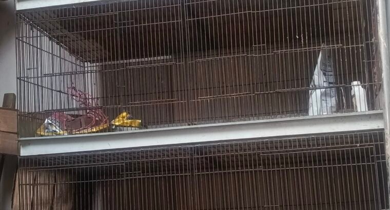 large iron Bird, rabbit cage for sale