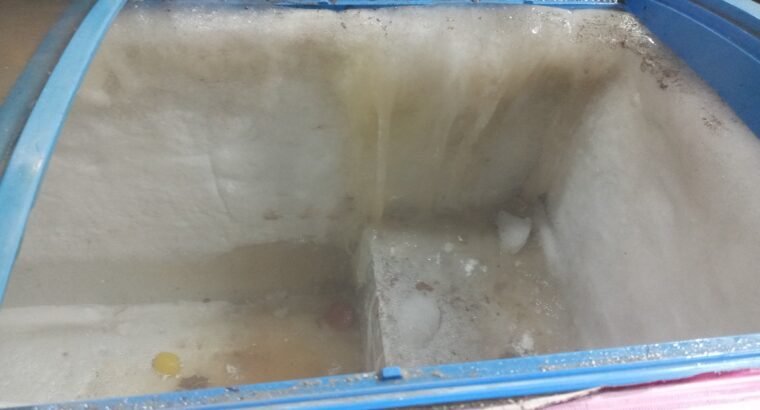 Commerical ice cream deep freezer for sale