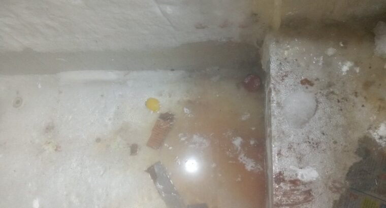 Commerical ice cream deep freezer for sale