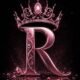 owner-img