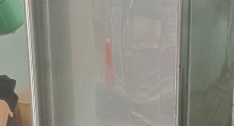 Vertical Deep Freezer