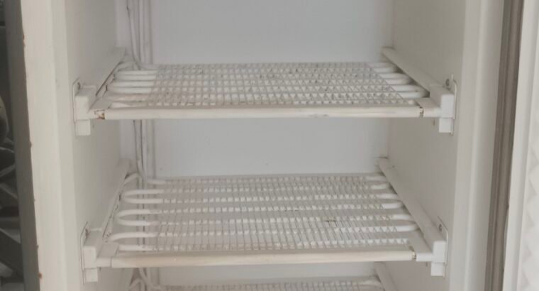 Vertical Deep Freezer