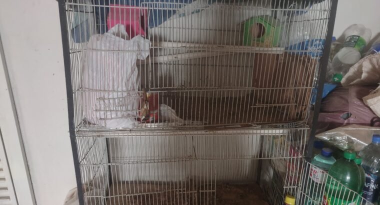 Cages Double n Heavy Metal rod for Birds n pets 36x30x16 n 36×24
