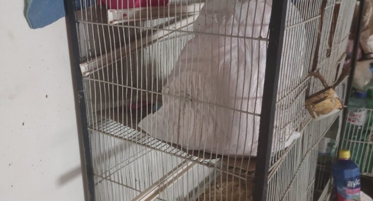 Cages Double n Heavy Metal rod for Birds n pets 36x30x16 n 36×24