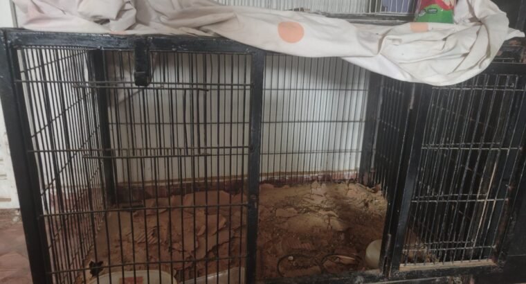 Cages Double n Heavy Metal rod for Birds n pets 36x30x16 n 36×24