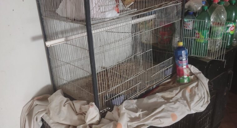 Cages Double n Heavy Metal rod for Birds n pets 36x30x16 n 36×24