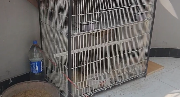 Cages Double n Heavy Metal...