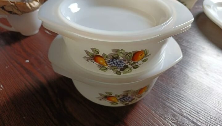 Arcopal Dinner Set