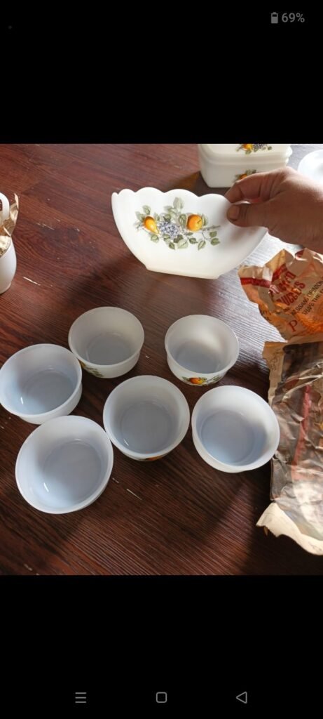 Arcopal Dinner Set - photo 8