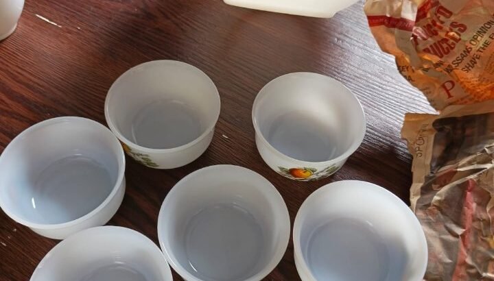 Arcopal Dinner Set