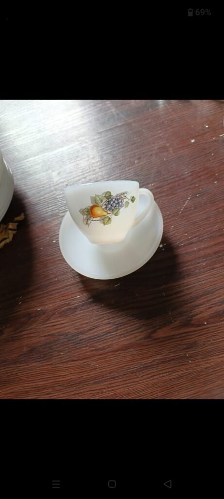 Arcopal Dinner Set - photo 4