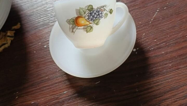 Arcopal Dinner Set