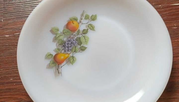 Arcopal Dinner Set