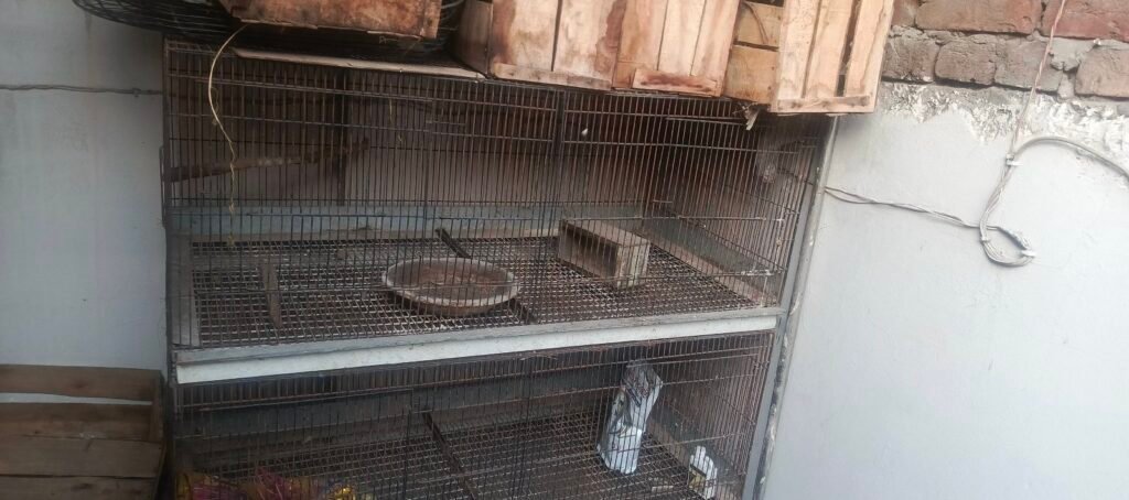 large iron Bird, rabbit cage for sale - photo 7