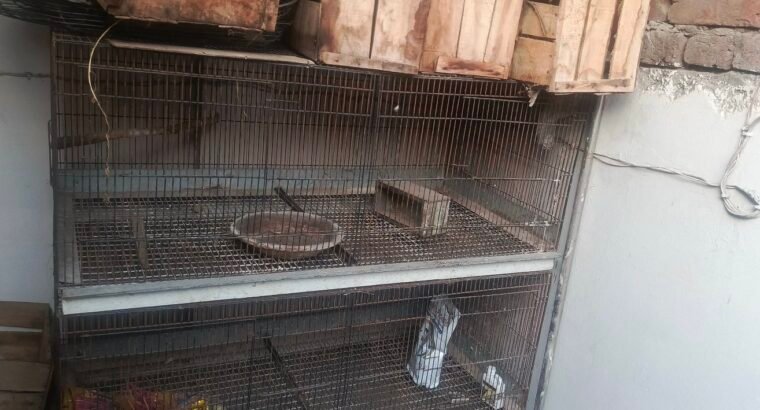 large iron Bird, rabbit cage for sale
