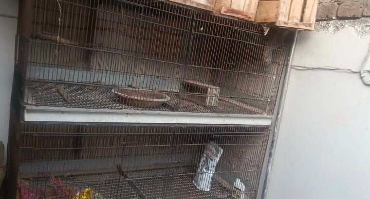 large iron Bird, rabbit cage for sale