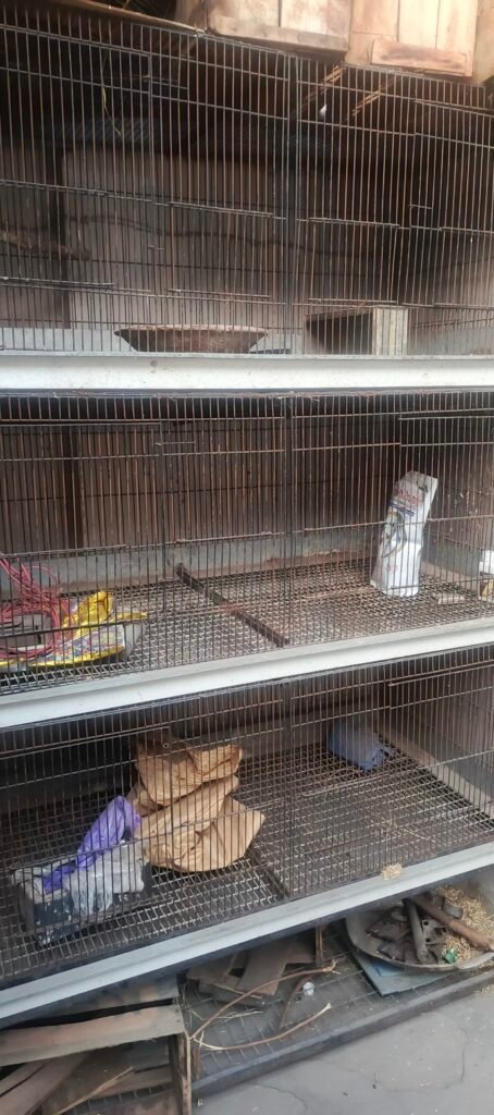 large iron Bird, rabbit cage for sale - photo 4