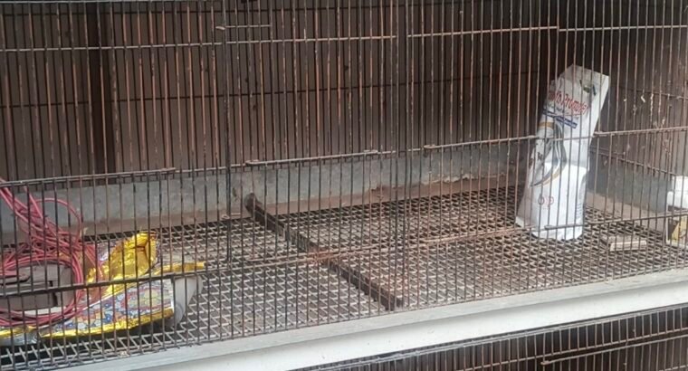 large iron Bird, rabbit cage for sale