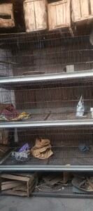 large iron Bird, rabbit cage for sale