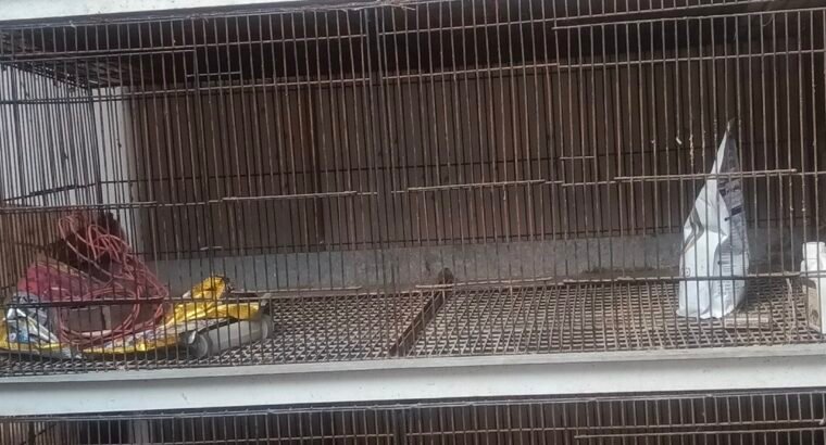 large iron Bird, rabbit cage for sale