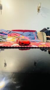 Hand-Control Lamborghini Toy Car+shophees– Clean & Ready to Play