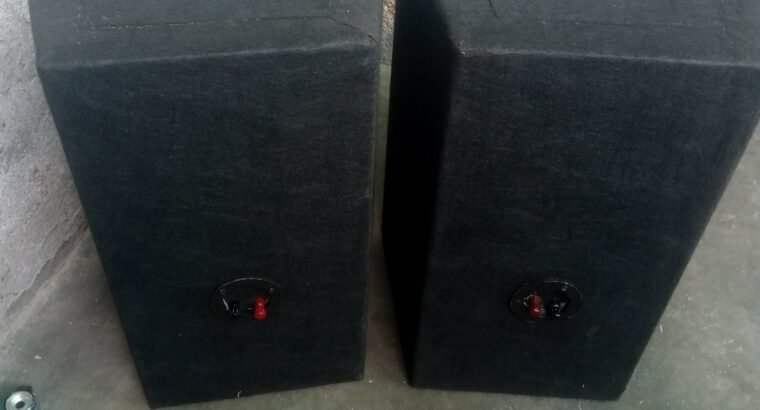 12 inch speaker very nice sound