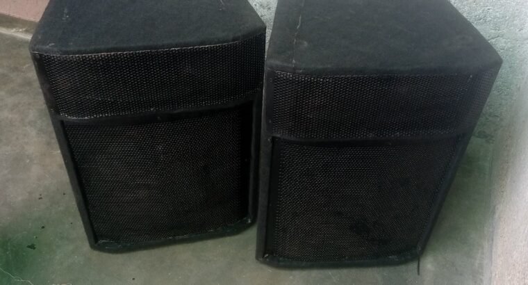 12 inch speaker very nice sound