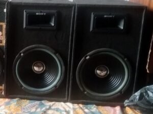 10 inch wofer behtren quality