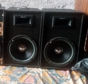 10 inch wofer behtren quality