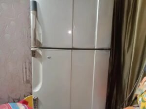PEL FULL SIZE REFRIGERATOR