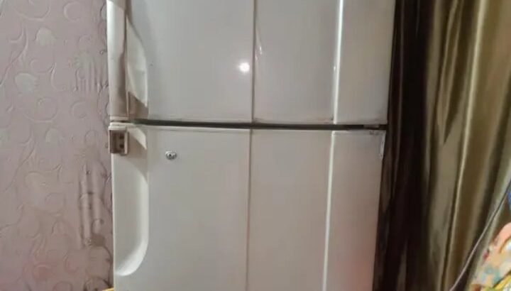 PEL FULL SIZE REFRIGERATOR