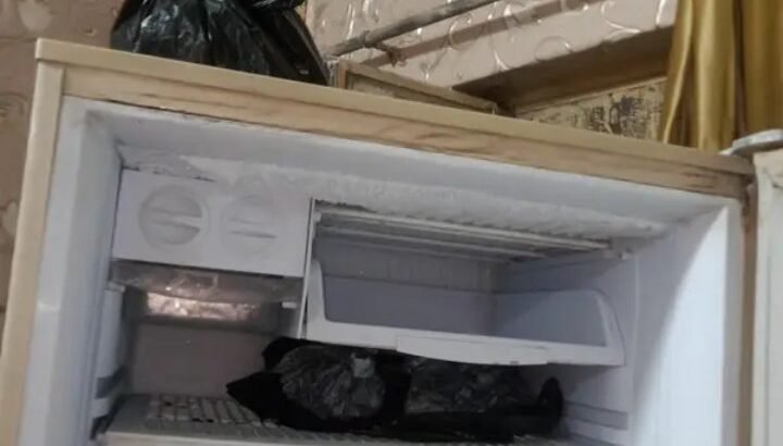 PEL FULL SIZE REFRIGERATOR