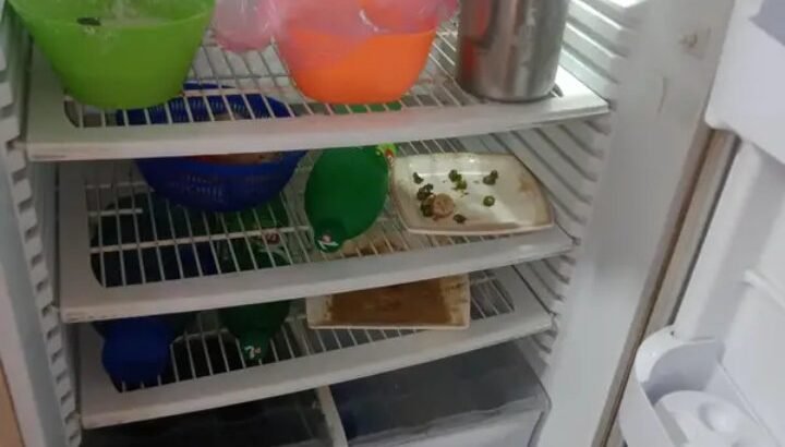 PEL FULL SIZE REFRIGERATOR