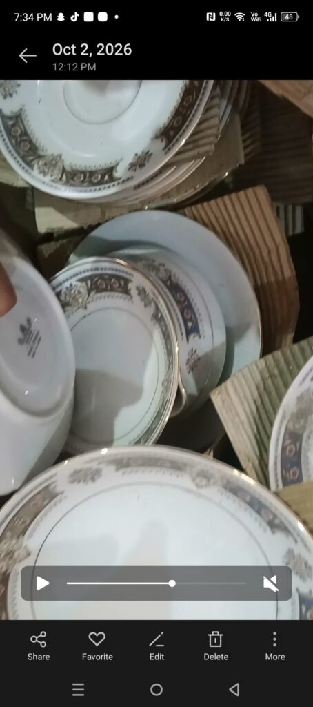 Vintage bone china table ware dinner set - photo 4