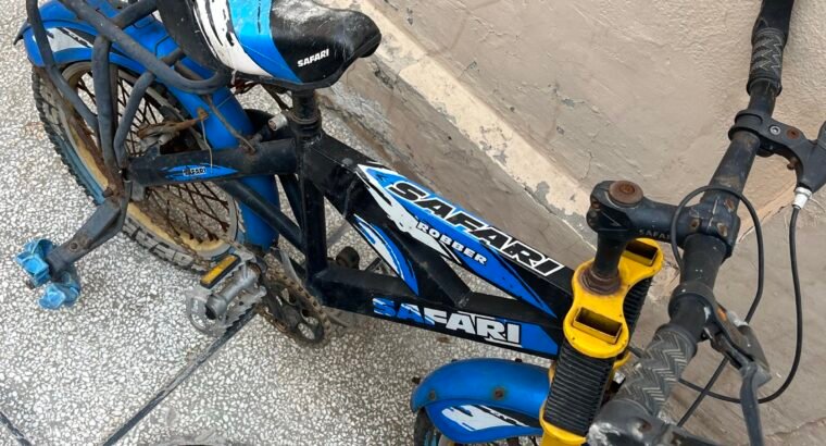 safari ki cycle hai tyres mein hawa bharni hai