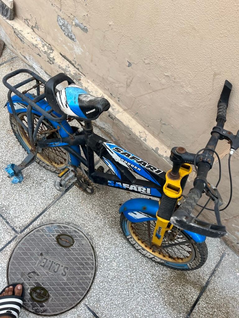 safari ki cycle hai tyres mein hawa bharni hai