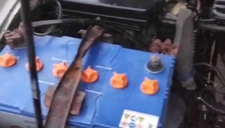Toyota hilux model 2000 color whit kpk nmbr doable Saman ka sath door