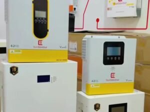SunSavior brand China import 6.2kw hybrid inverter 5kw lithium battery