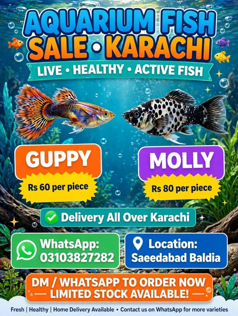Guppy fish - photo 1