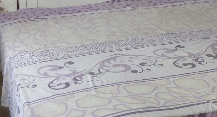 Bedroom Furniture with Spring Mattress