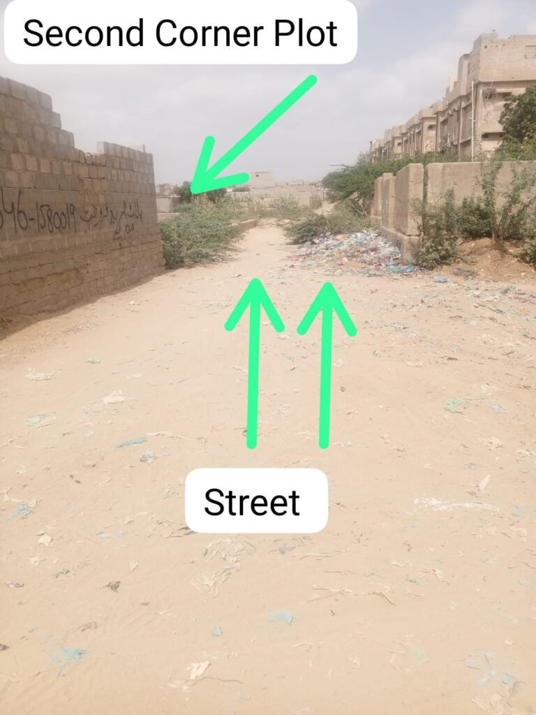 80 Yards Plot Sale near Pakistan Bazar Police Station Gulahsn e Bahar - photo 4