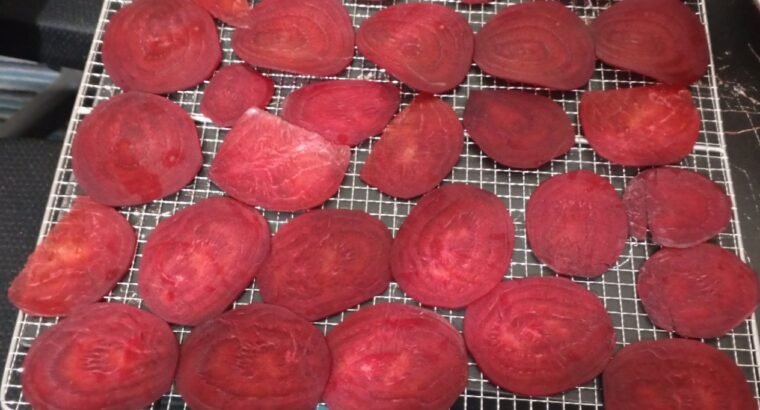 Food dehydrator imported