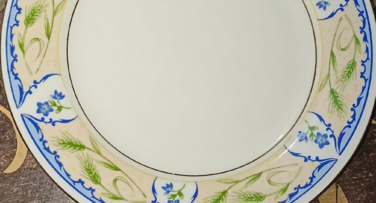 bone china dinner set 60pcs 8person serving new
