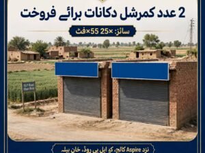 2 shops plot 5 marla