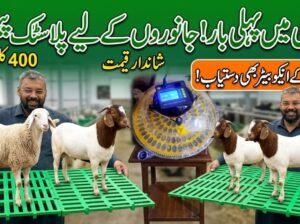 pure plastic pallets for goats and sheeps