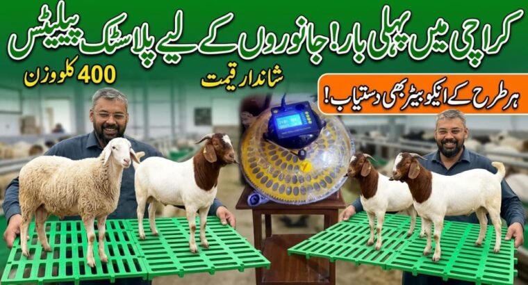 pure plastic pallets for goats and sheeps
