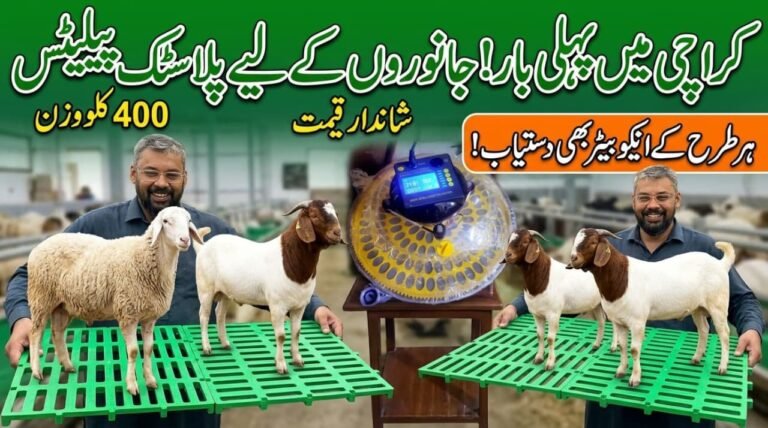 pure plastic pallets for goats and sheeps