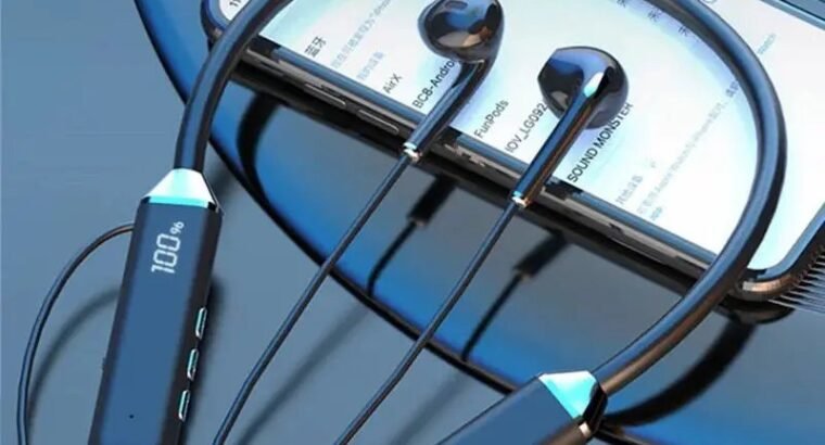 Earphones